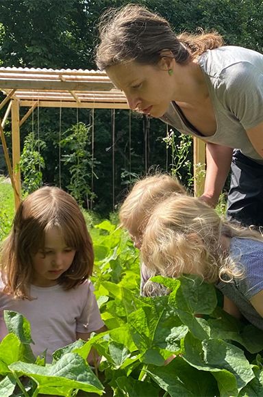 Garten_Nahrungskreislauf_