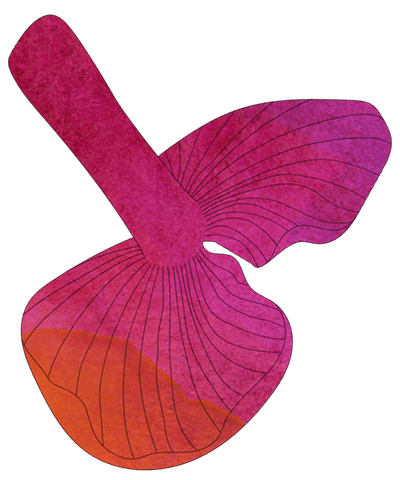 LC-illustration-projekte-pilz