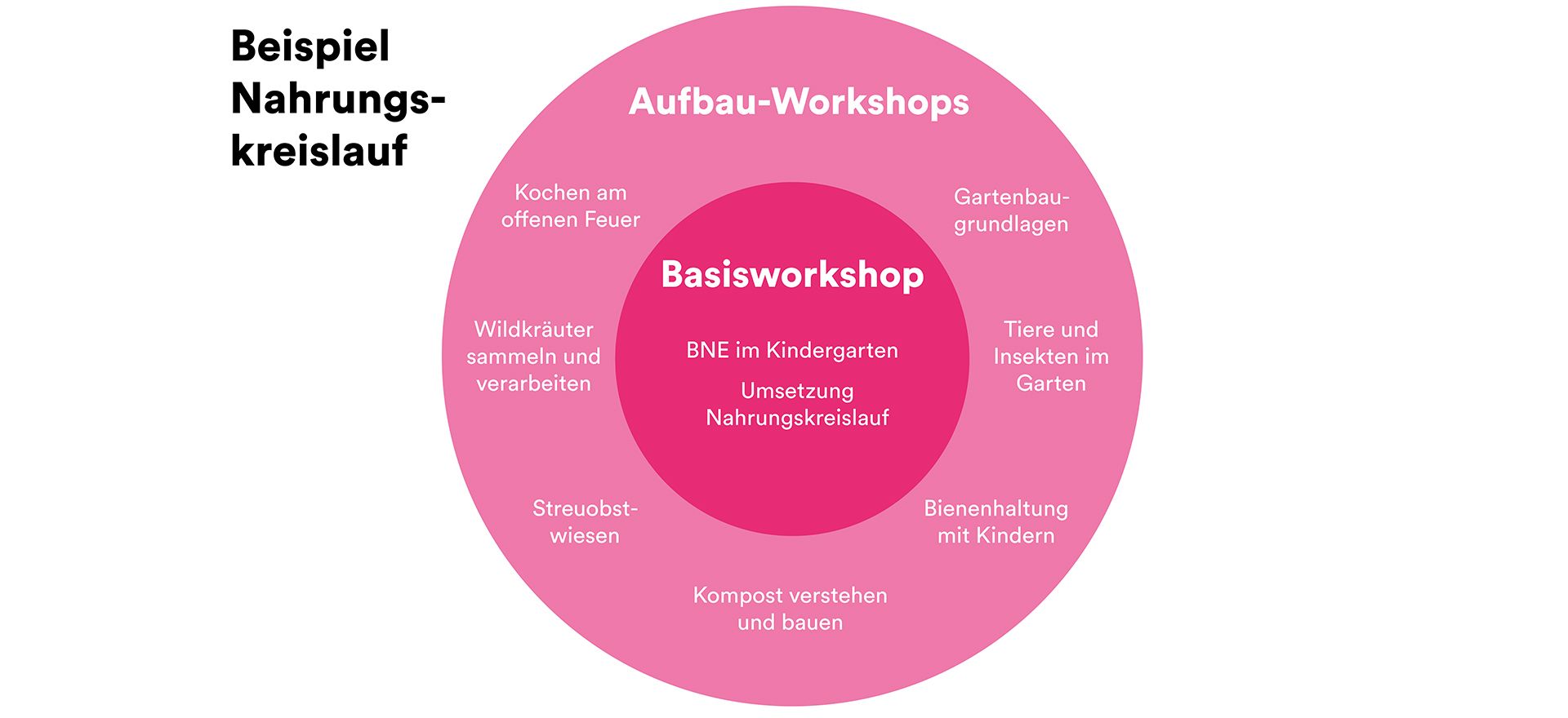 Nahrungskreislauf_Skaliert_1